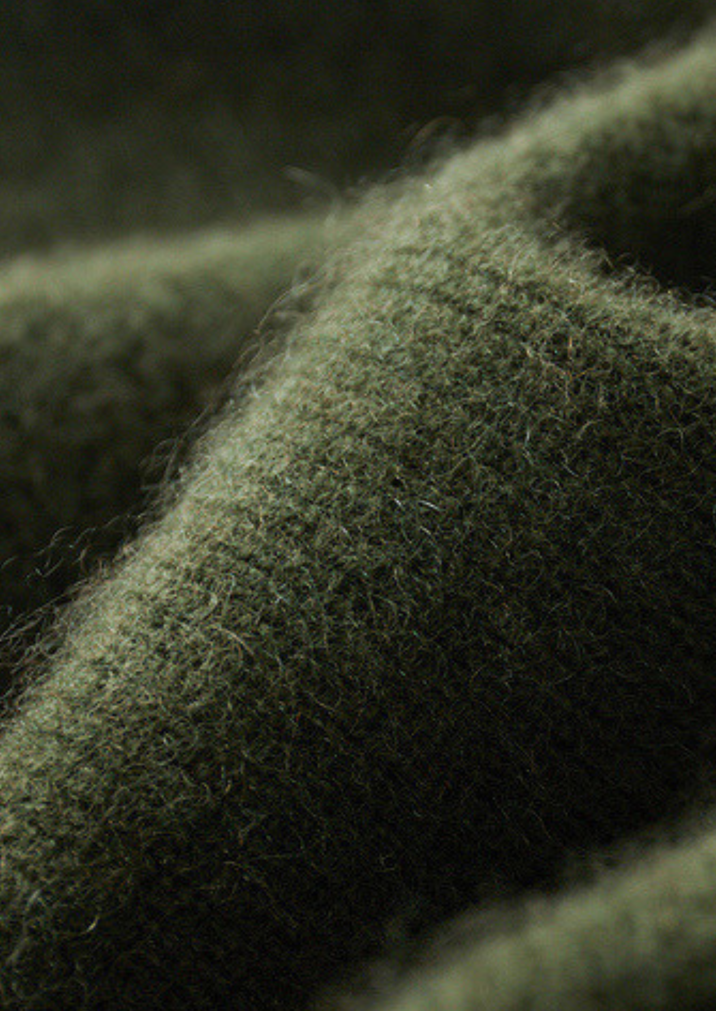Pure Cashmere Olive Ribbed Half Zip | Vallentty