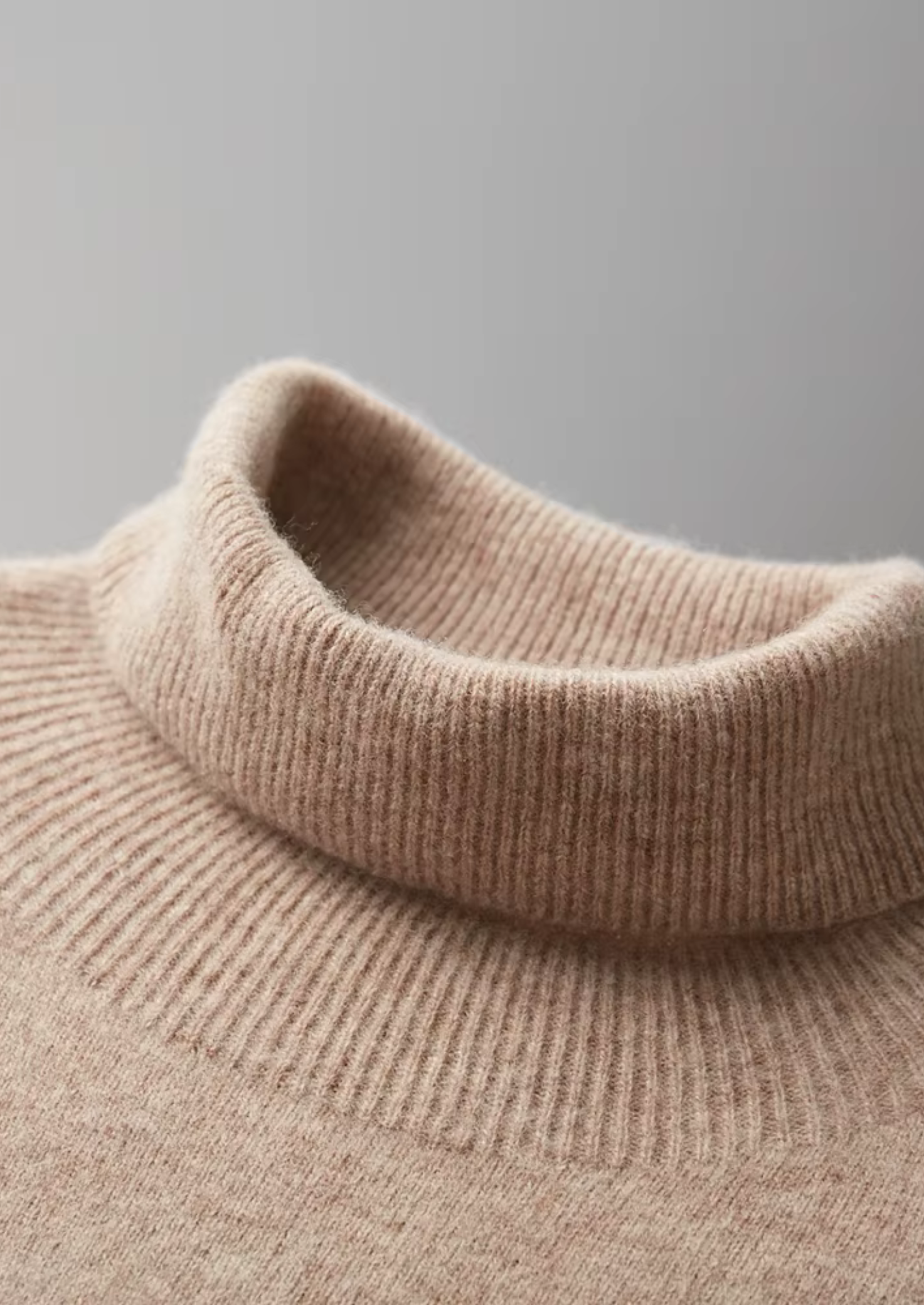 Pure Extra-Fine Merino Wool Classic Rollneck | Vallentty
