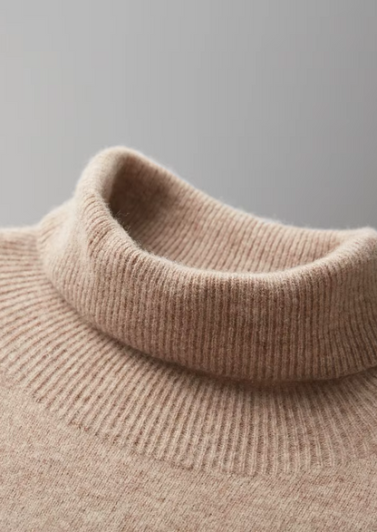 Pure Extra-Fine Merino Wool Classic Rollneck | Vallentty
