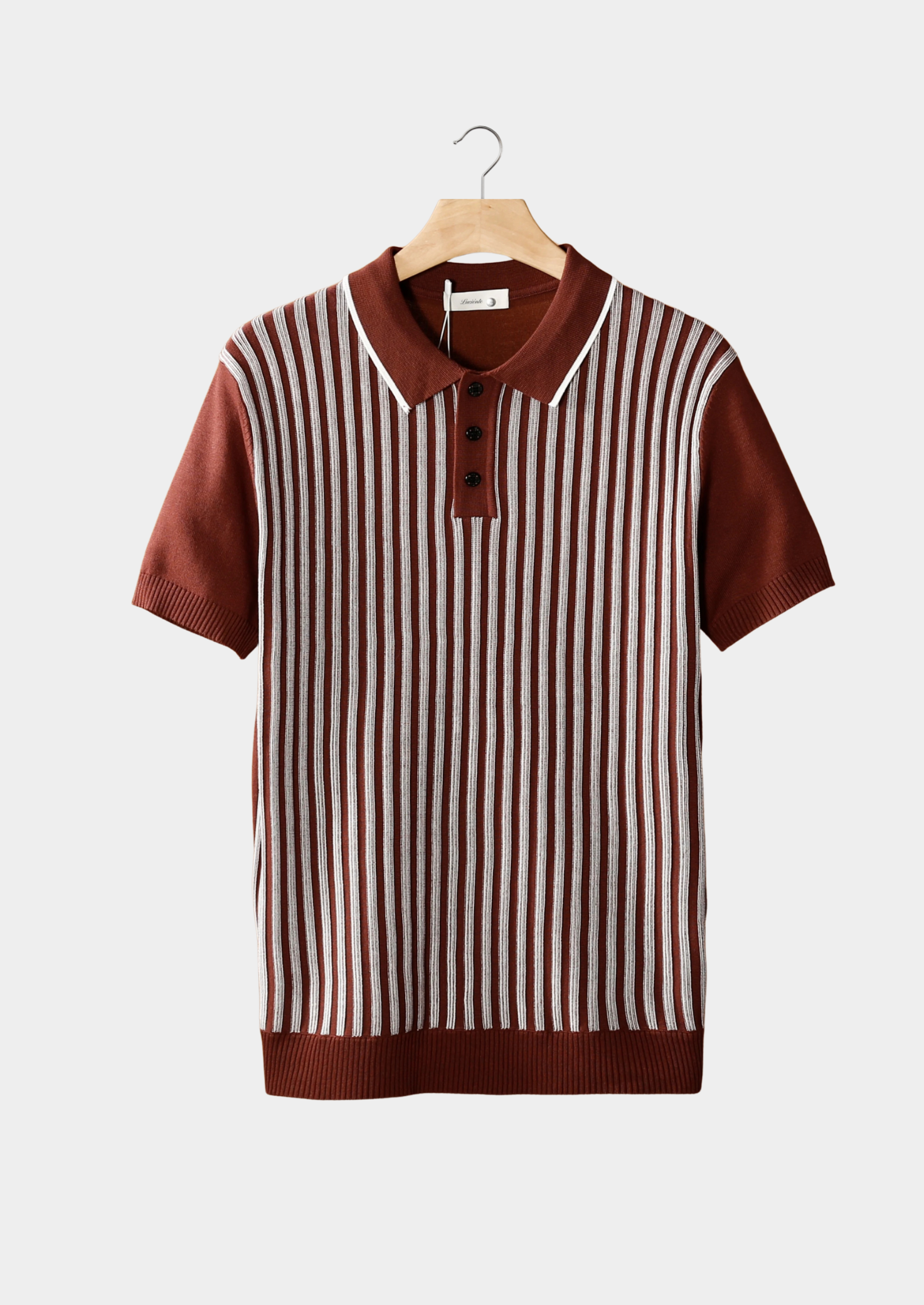 Rust Brown Vertical Striped Polo | Vallentty